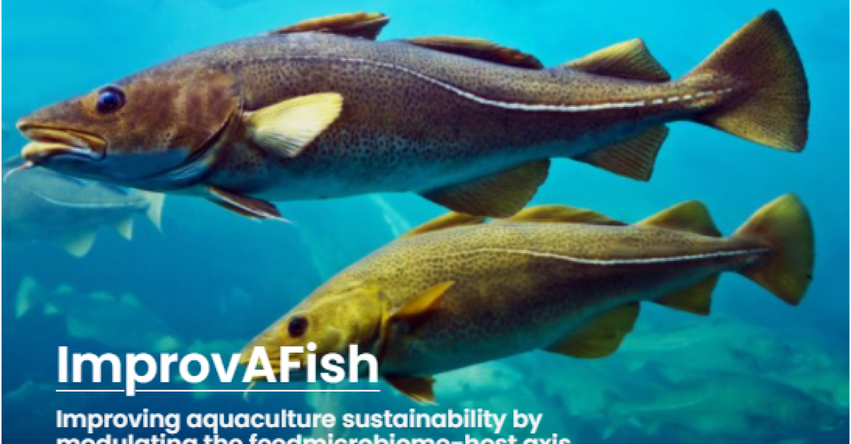 ImprovAFish | JPI Oceans
